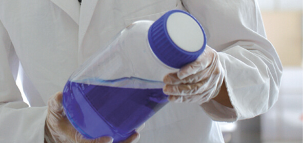 Verschlusskappen High Chem | BOLA